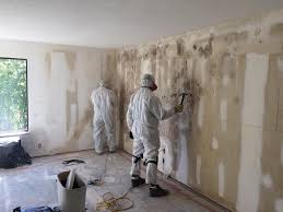 Best Forensic Mold Investigation  in Smithfield, VA